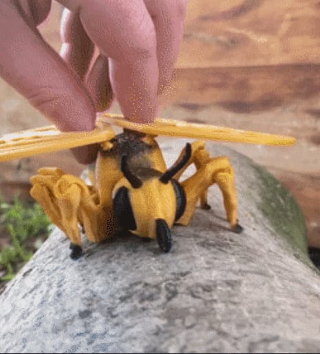Flexi Butterfly toy