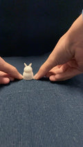 Bouncy Bunny