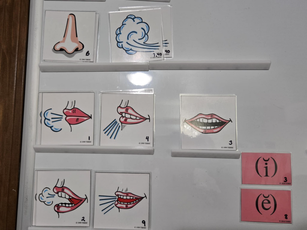Magnetic Shelf for Whiteboards, Fridges, and More