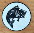 Coaster Fish_3
