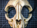 Cat Skull Mask by UpInAtoms
