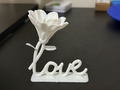 Love Rose
