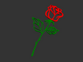 Simple multi coloured rose