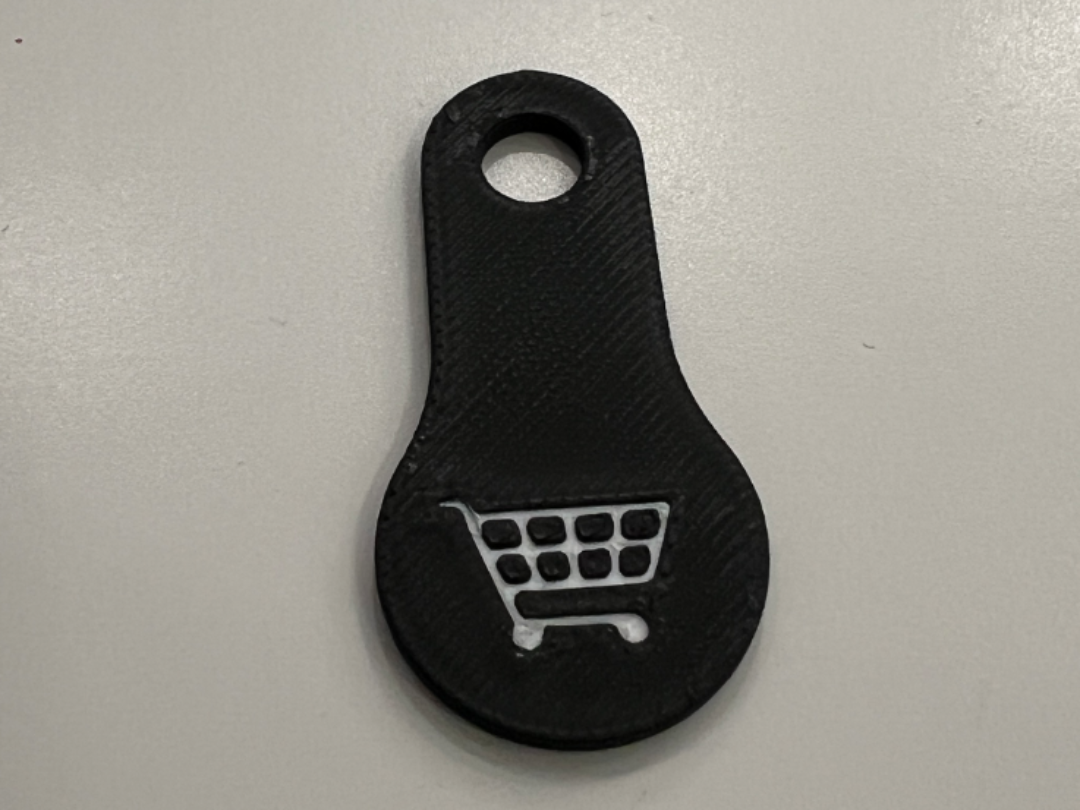 Shopping cart coin