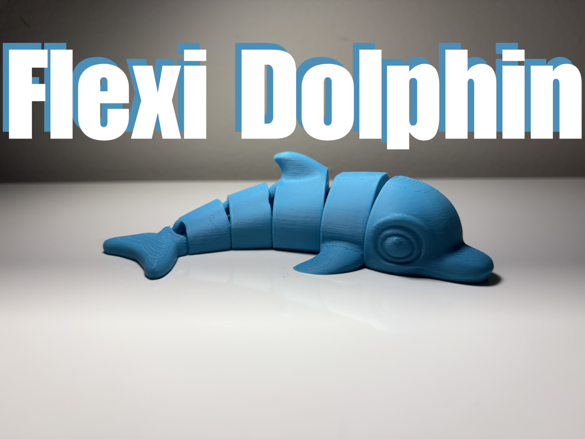 Flexi Dolphin (Sell it!)