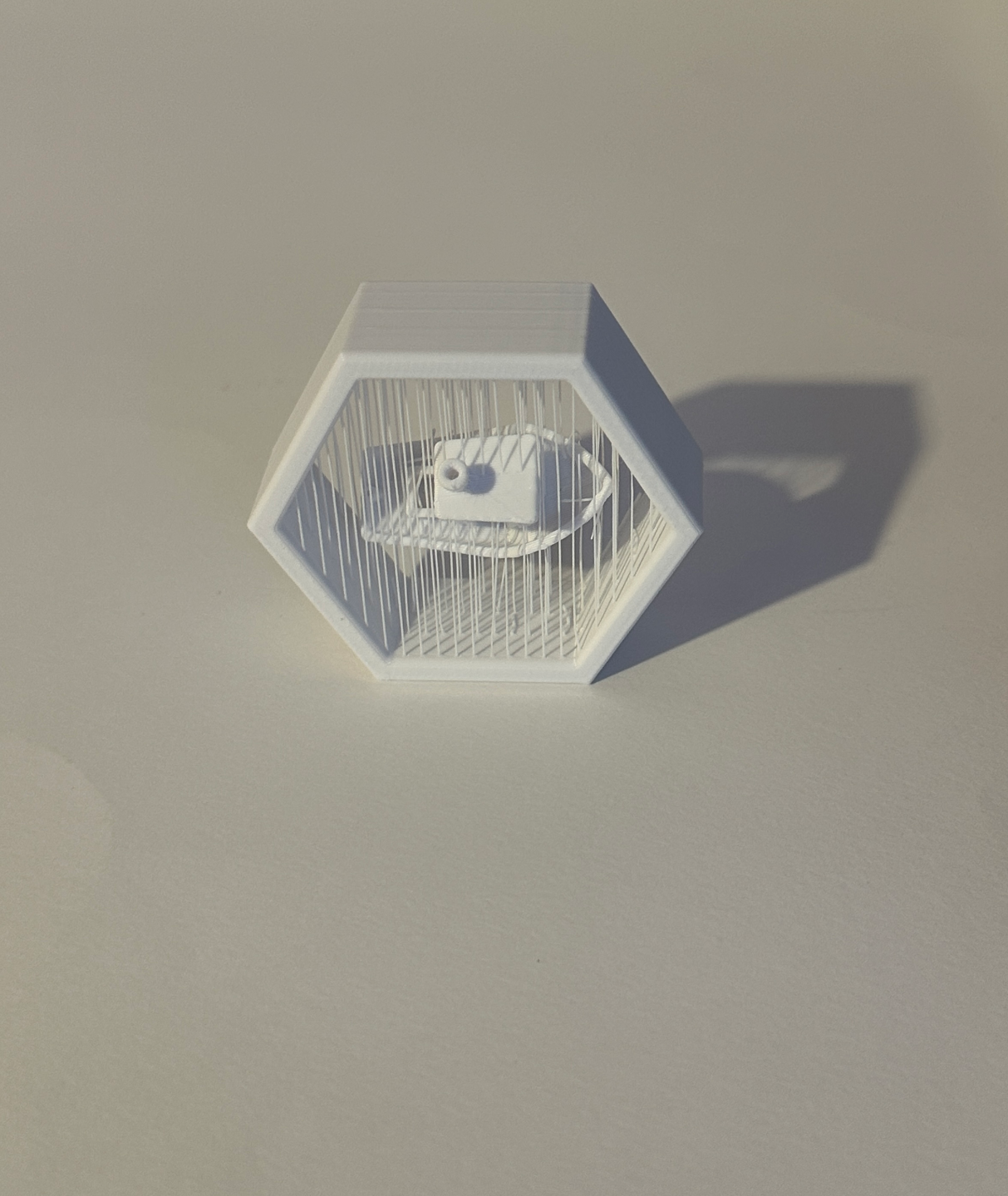 Benchy 3D Suspended
