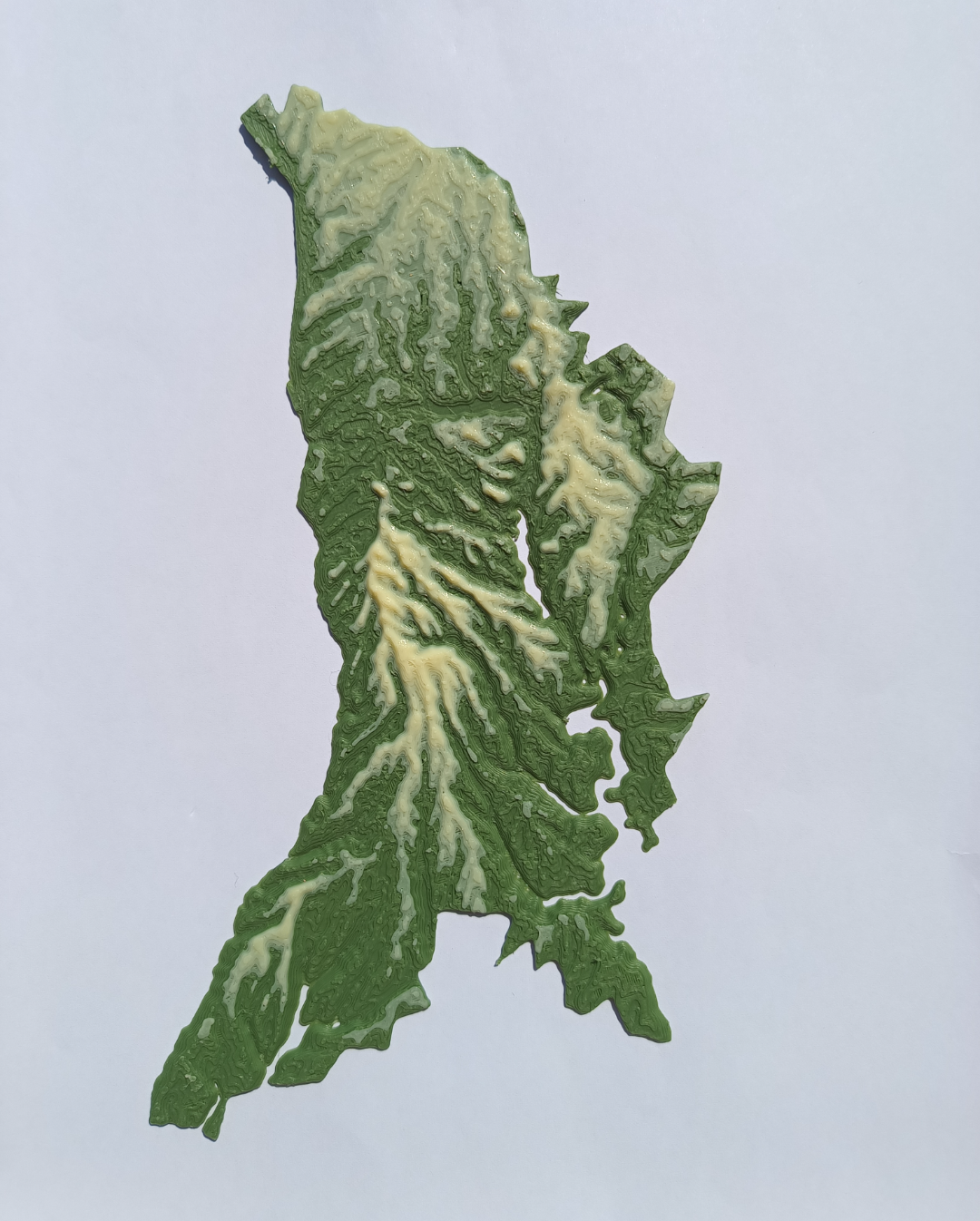 Terrain Map - Colored - Moldova - No AMS Nedded
