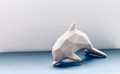 Cute Dolphin