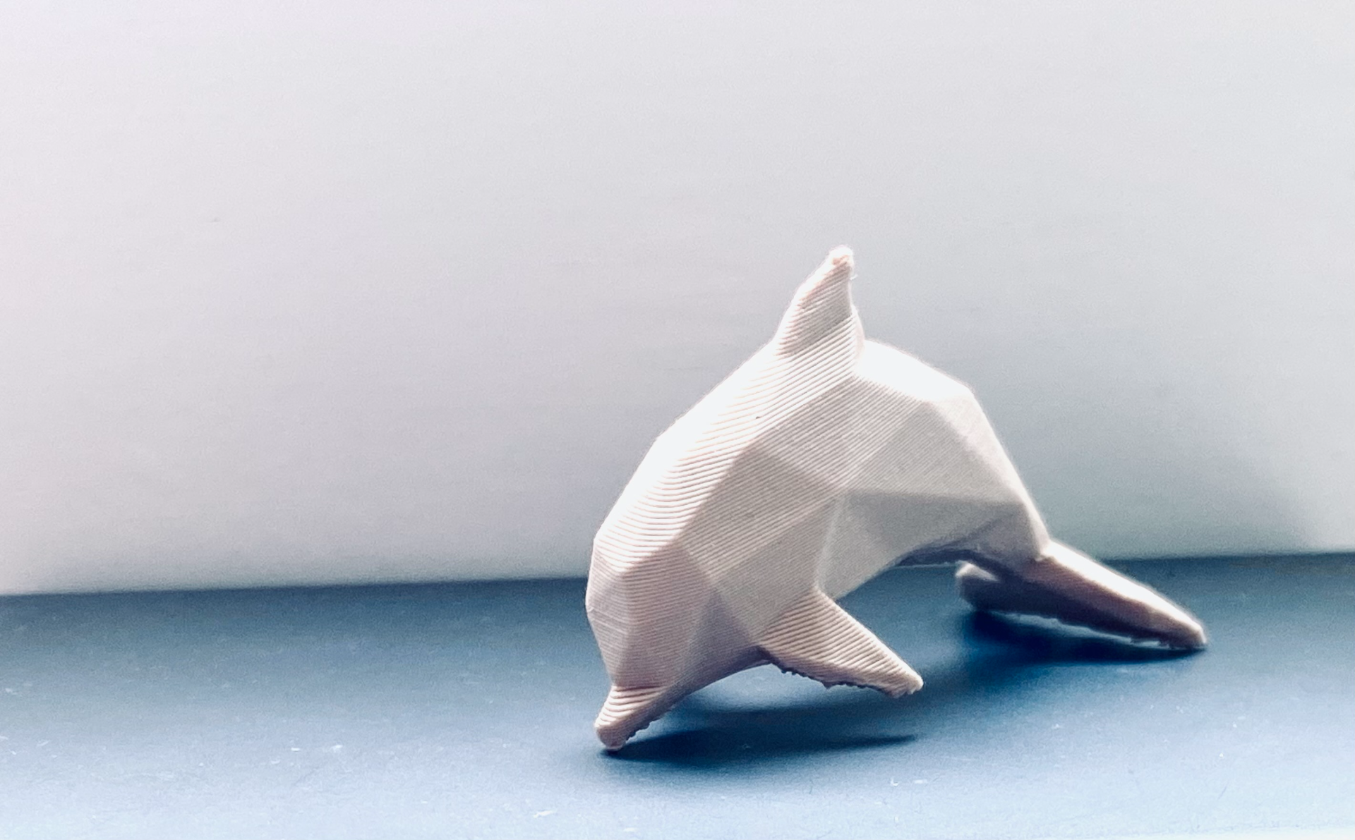 Cute Dolphin