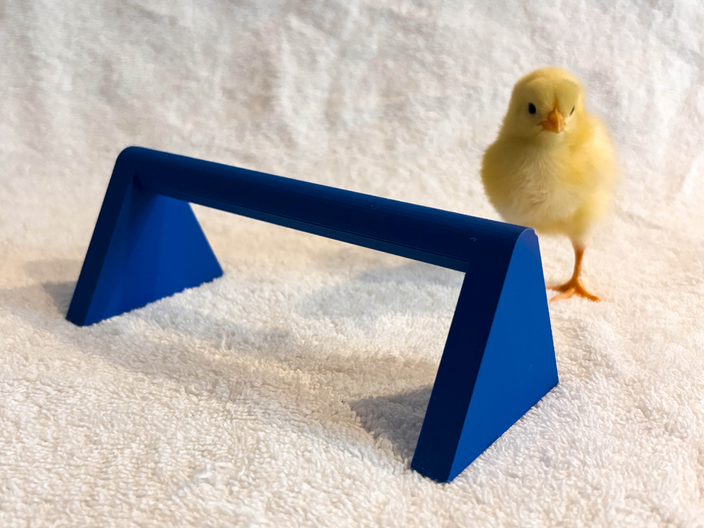 Roost for Baby Chicks