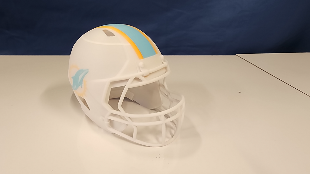Dolphins Helmet
