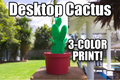 Desktop Cactus Plant, 3-Color print, House Decor