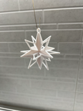 Star ornament