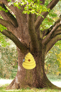 beehive bird house