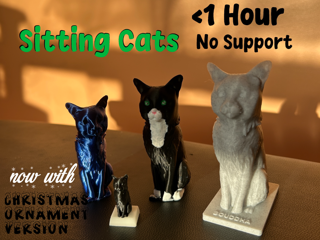 The Sitting Cat