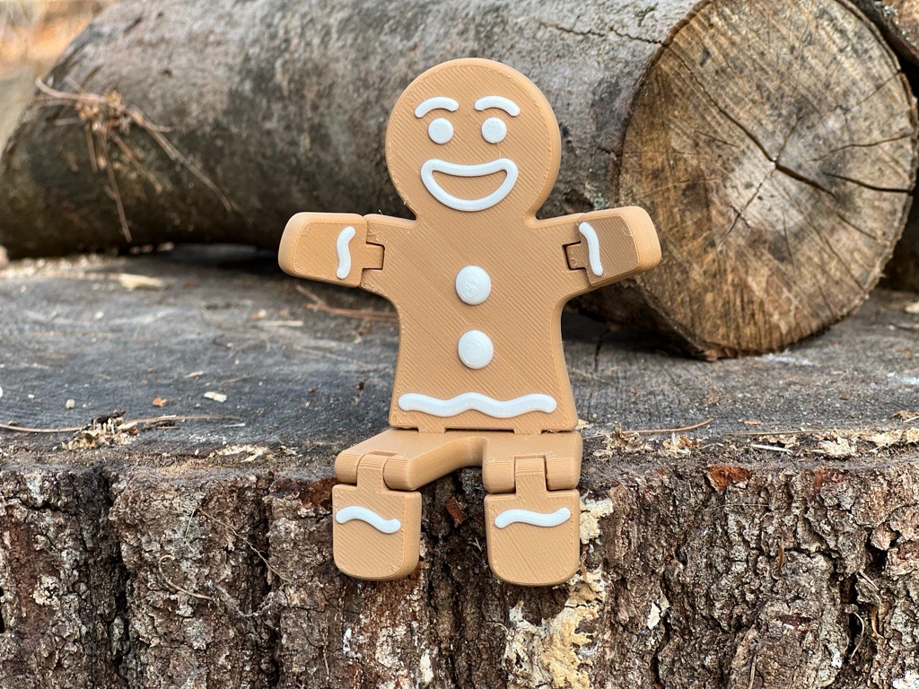 Easy Color Swap Gingerbread Cookie