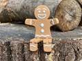 Easy Color Swap Gingerbread Cookie