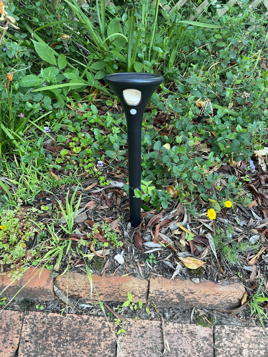 Hoselink solar light ground spike