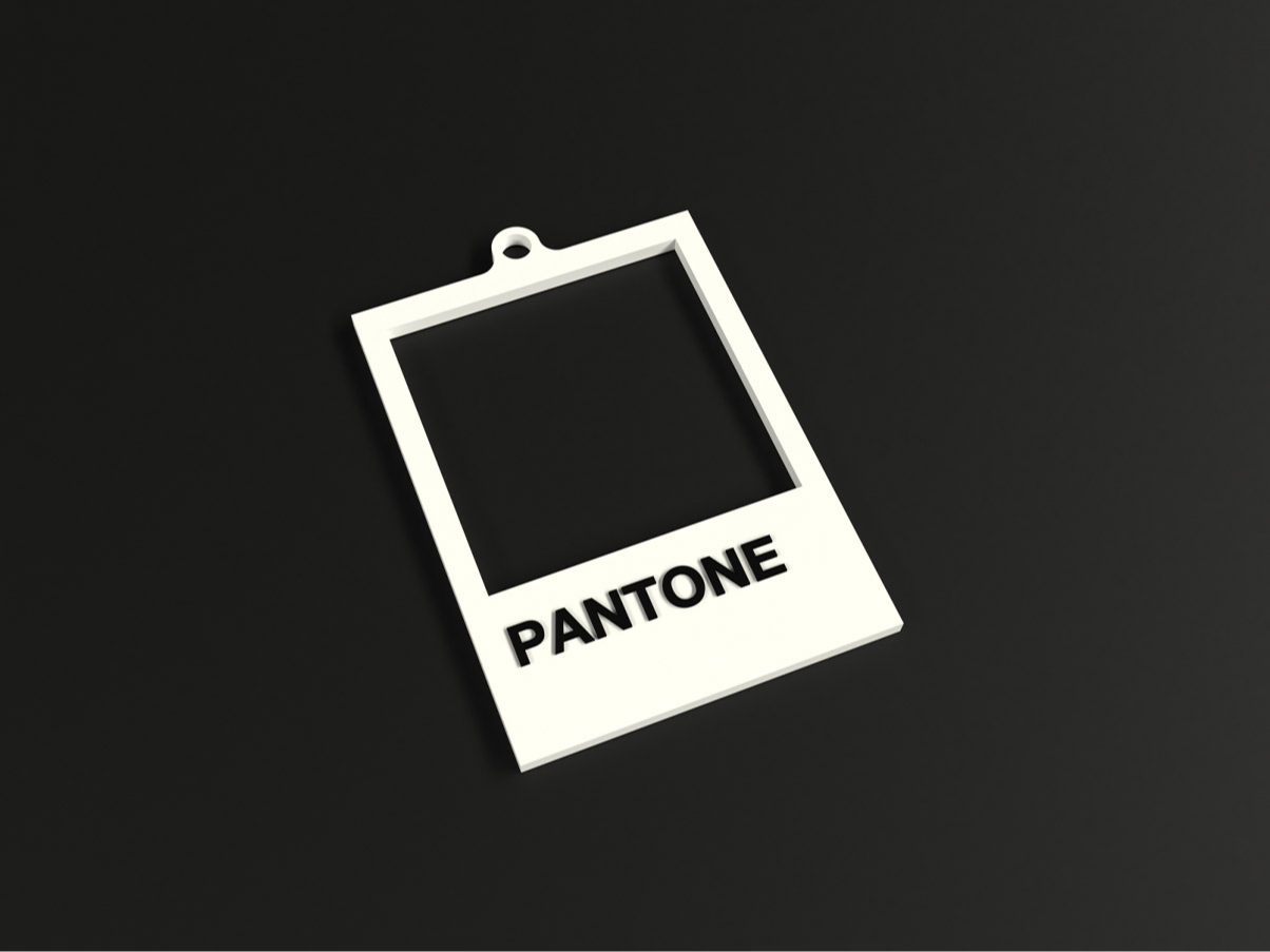 PANTONE key chain