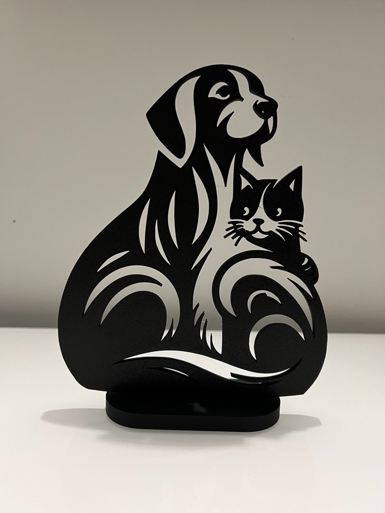 Dog and Cat