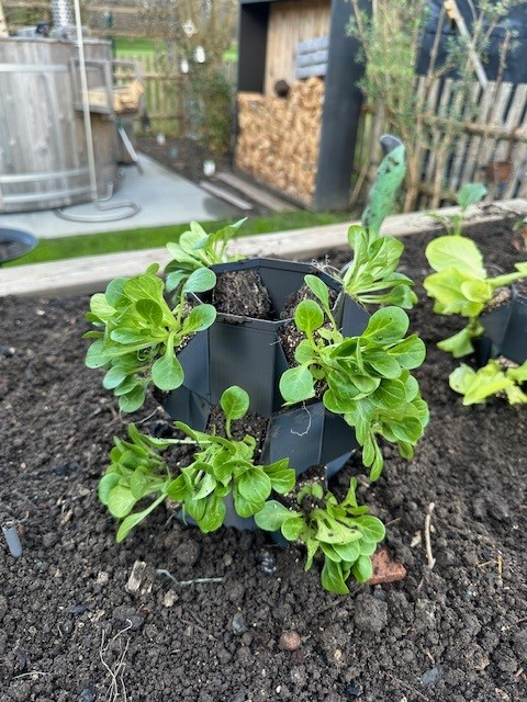 growtower, planttower, tower plant, planter,