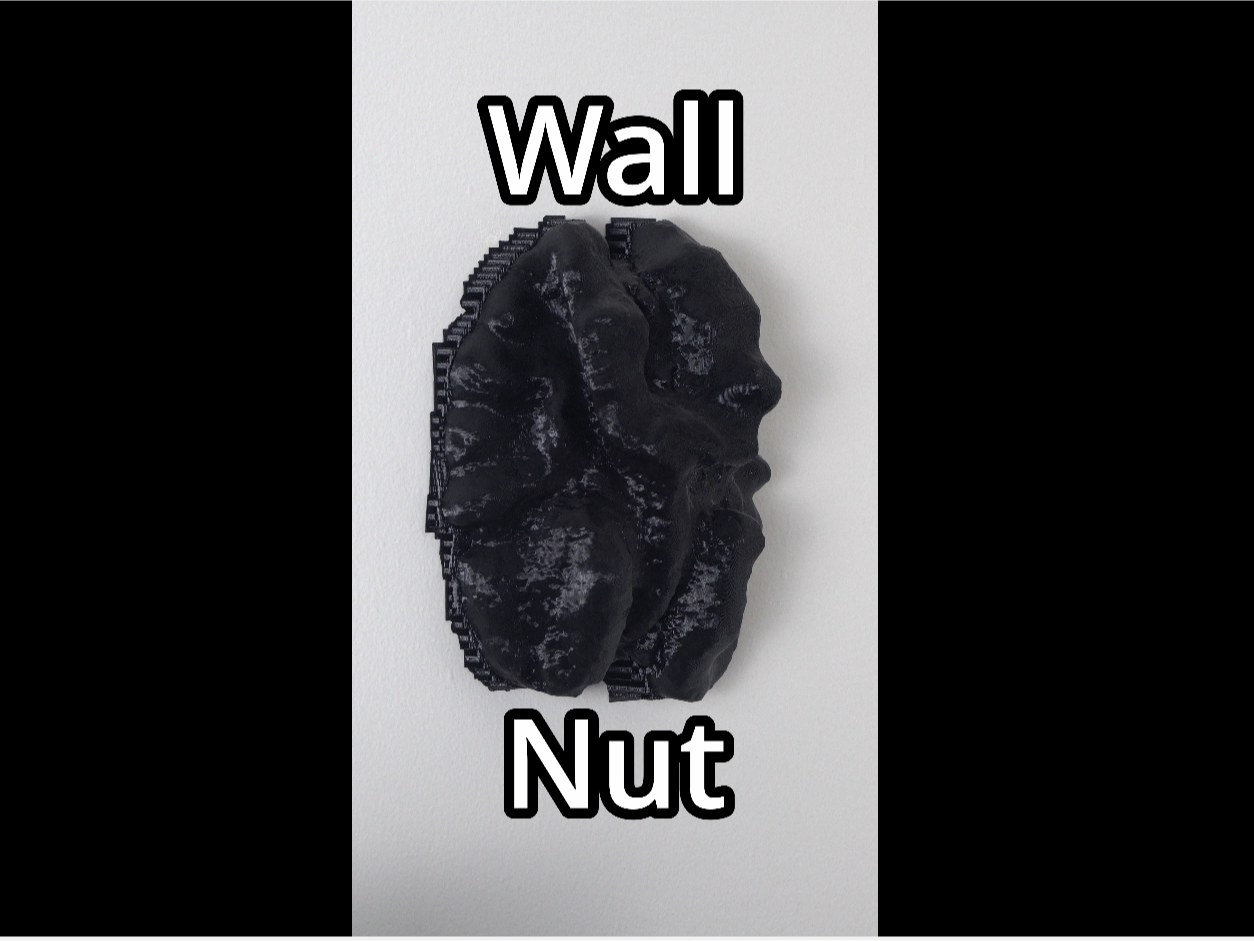 Wall Nut