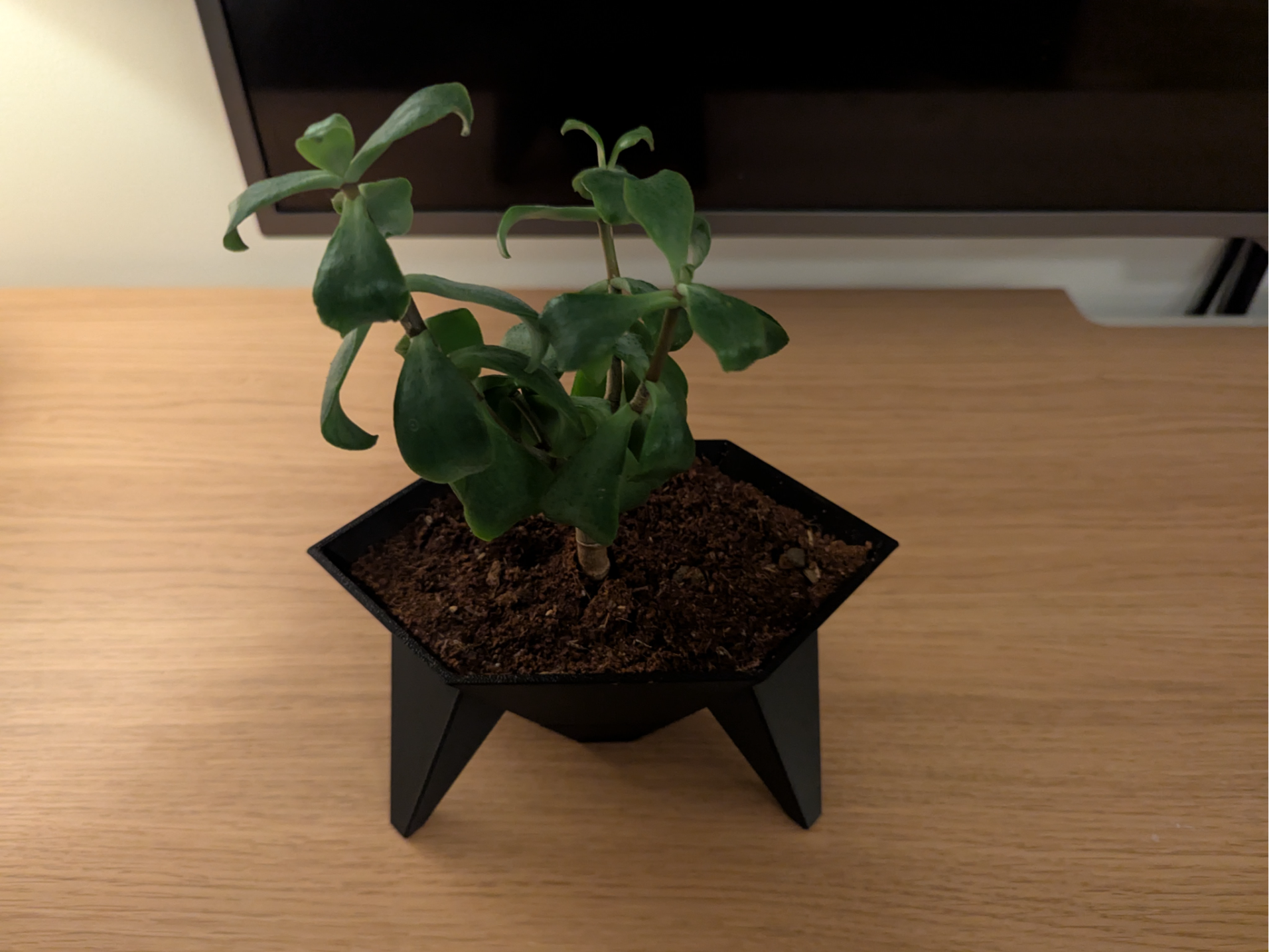 Geometric hex pot planter with legs and drainage