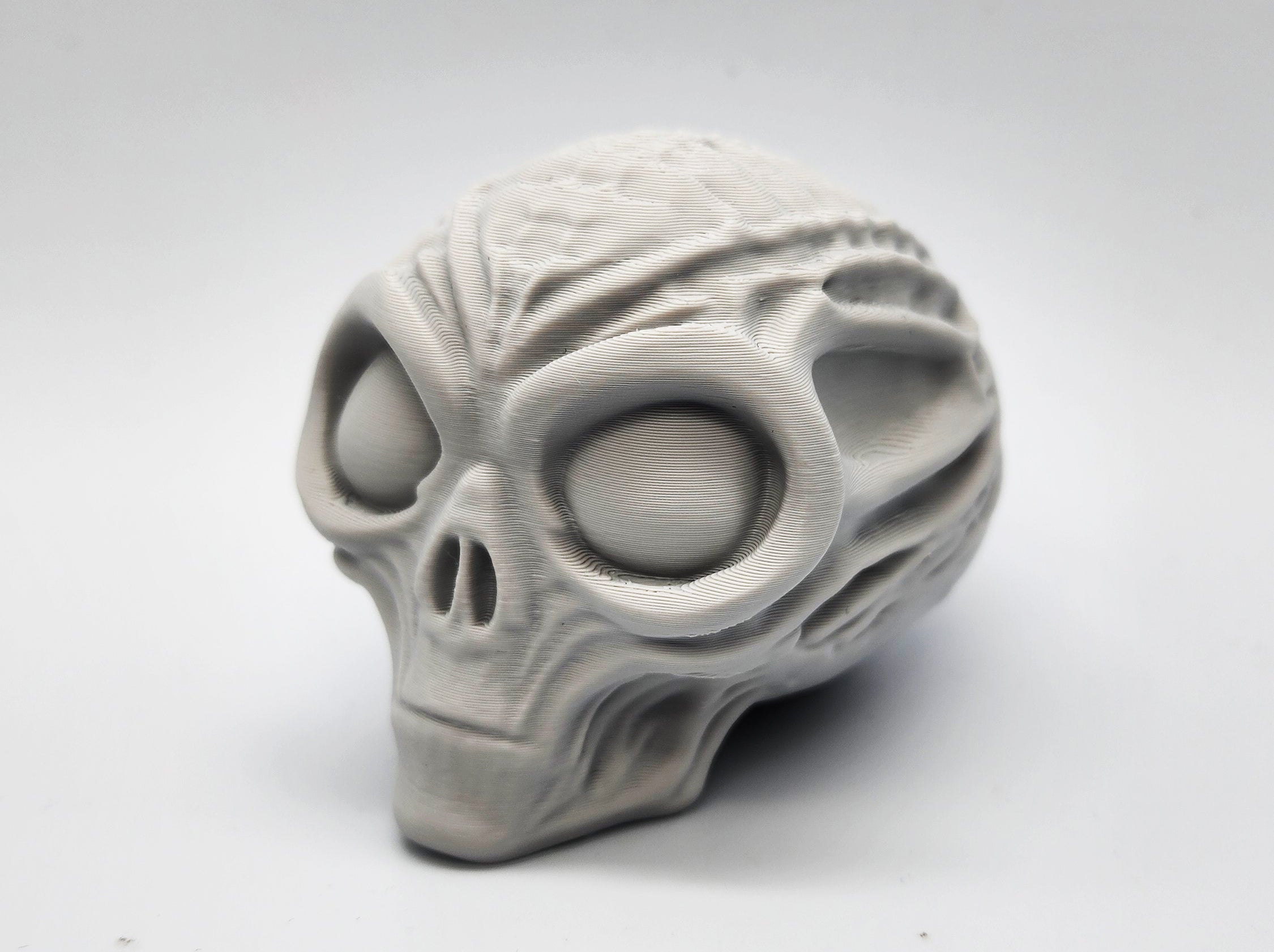 Mummified Alien Skull