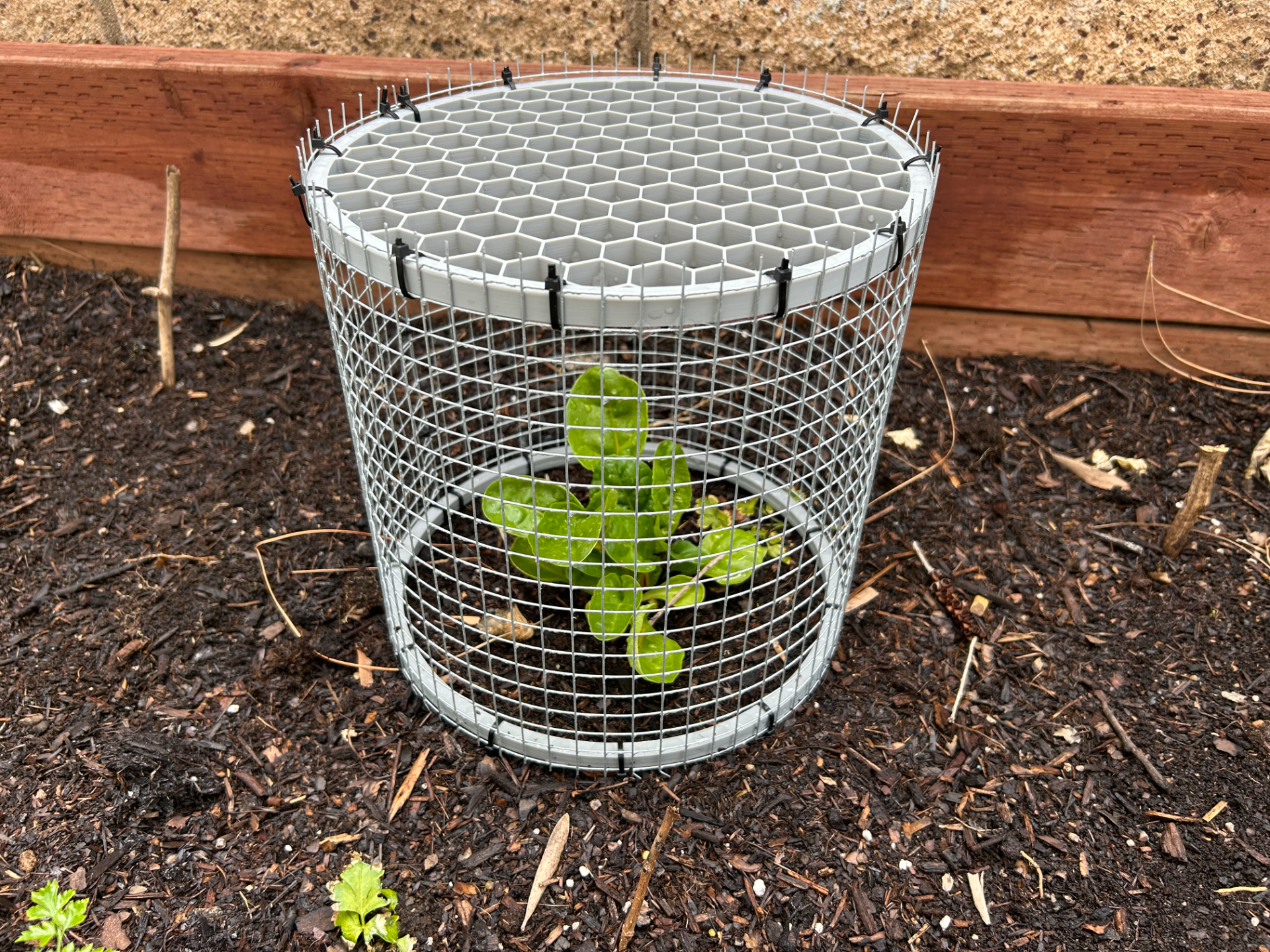 Plant cage ends (cylinder version)