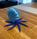 Articulated Ammonite