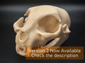Cat Skull - Easy(ish) Print