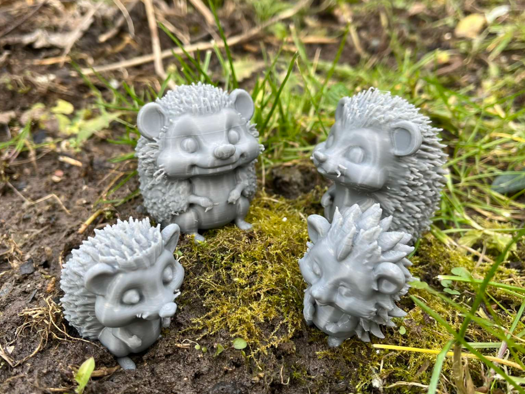 Hedgehog Family