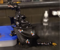 Braq - jointed Dragon