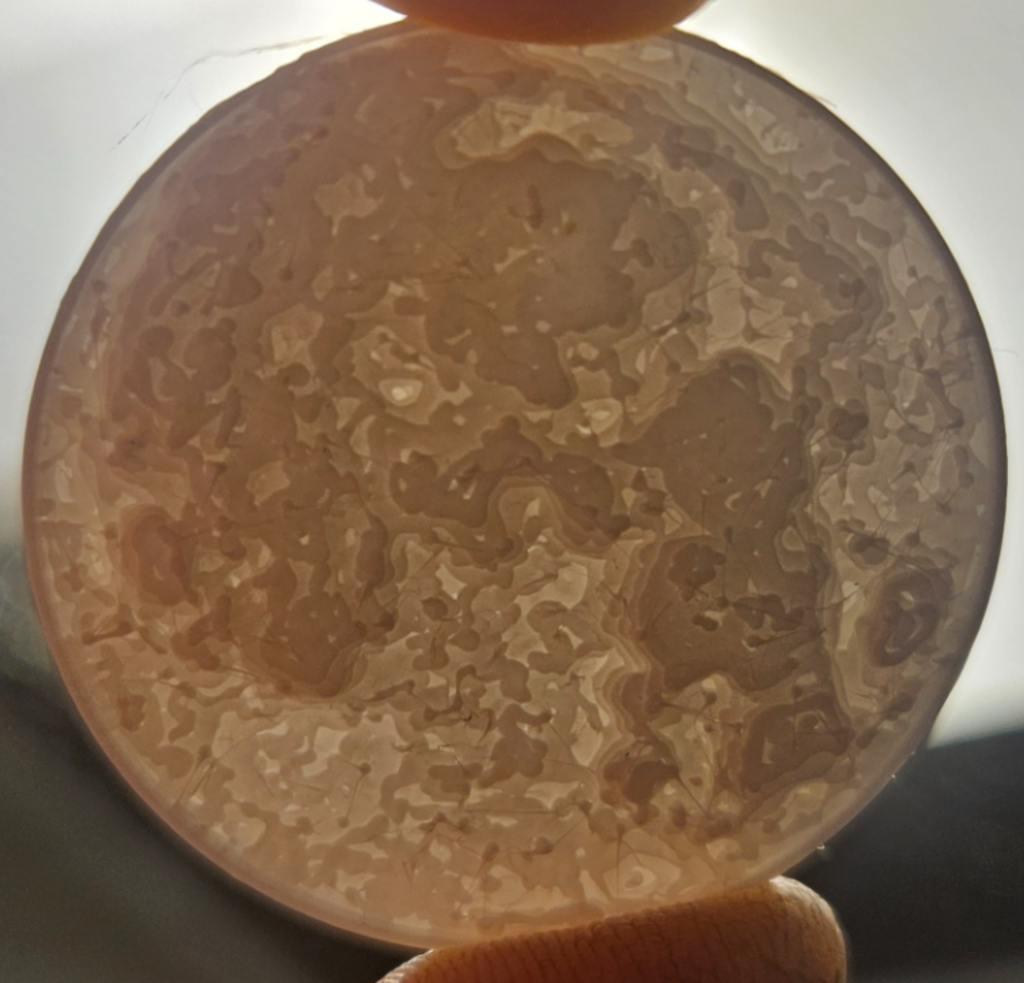 moon token
