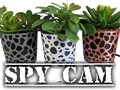 Planter spy cam