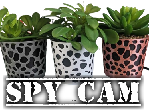 Planter spy cam