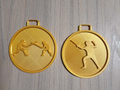 Fencing szermierka medal 2 diffrent models