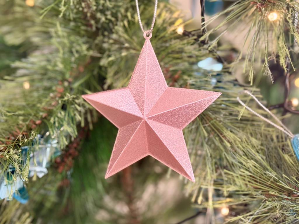 Ornament Star (Flat Print)
