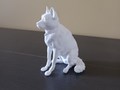 Husky