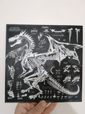 Dragon Anatomy Poster - B&W