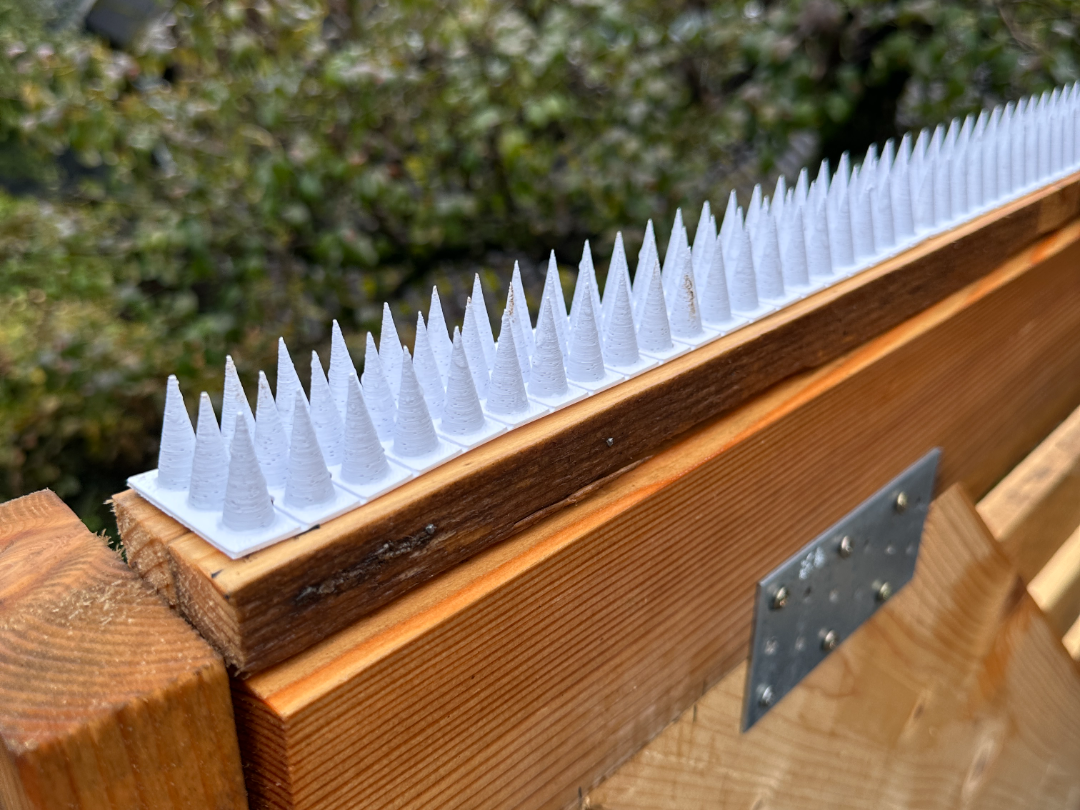 Vogelabwehr Spikes