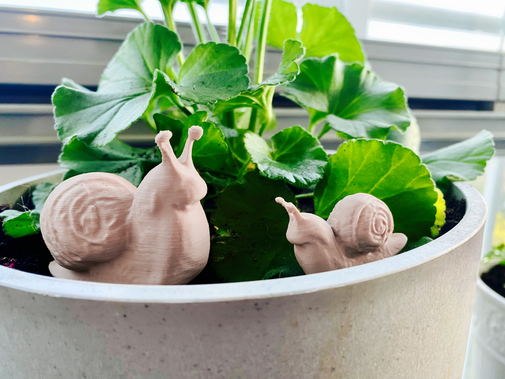 Little Snail