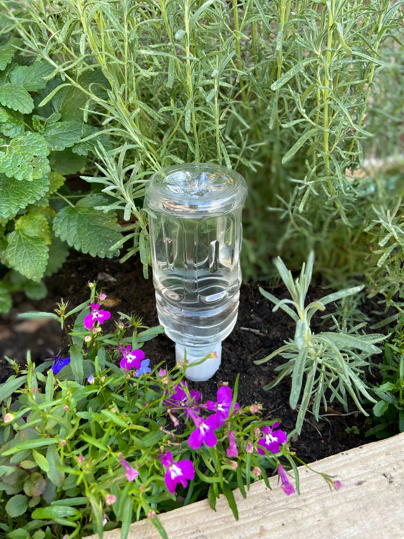 PET Bottle Watering Spikes Slow Watering