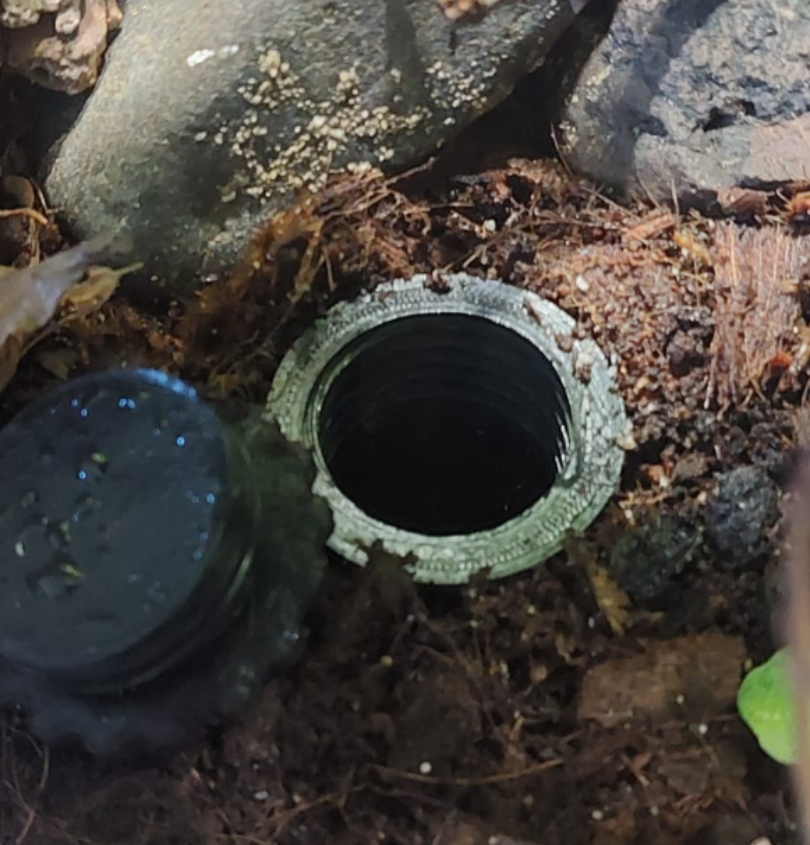 drain port for bioactive terrarium