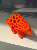 Voronoi Racoon