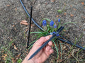 Sprinkler Spike