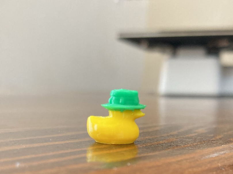 Tiny duck wearing a bucket hat