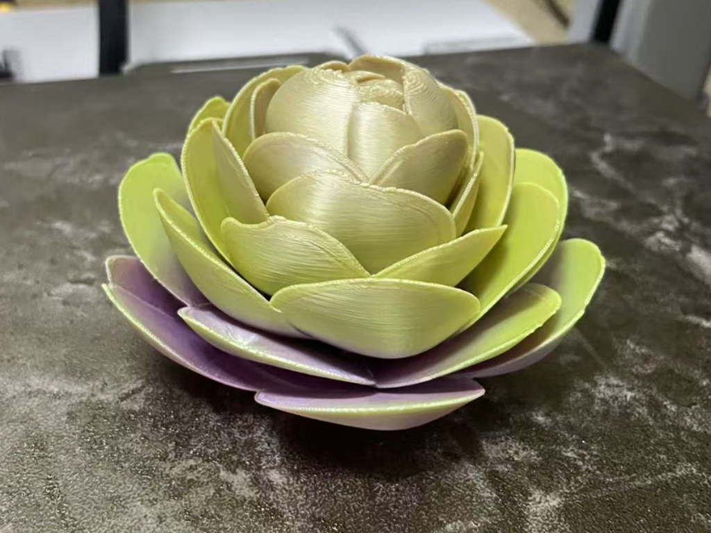 牡丹花