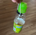 Pet bottle holder for backpack, belt