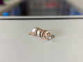 Bulldog Flexi Keychain (AMS)